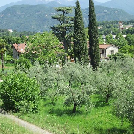 Agriturismo Bonu Gabriele Salo Ngoại thất bức ảnh